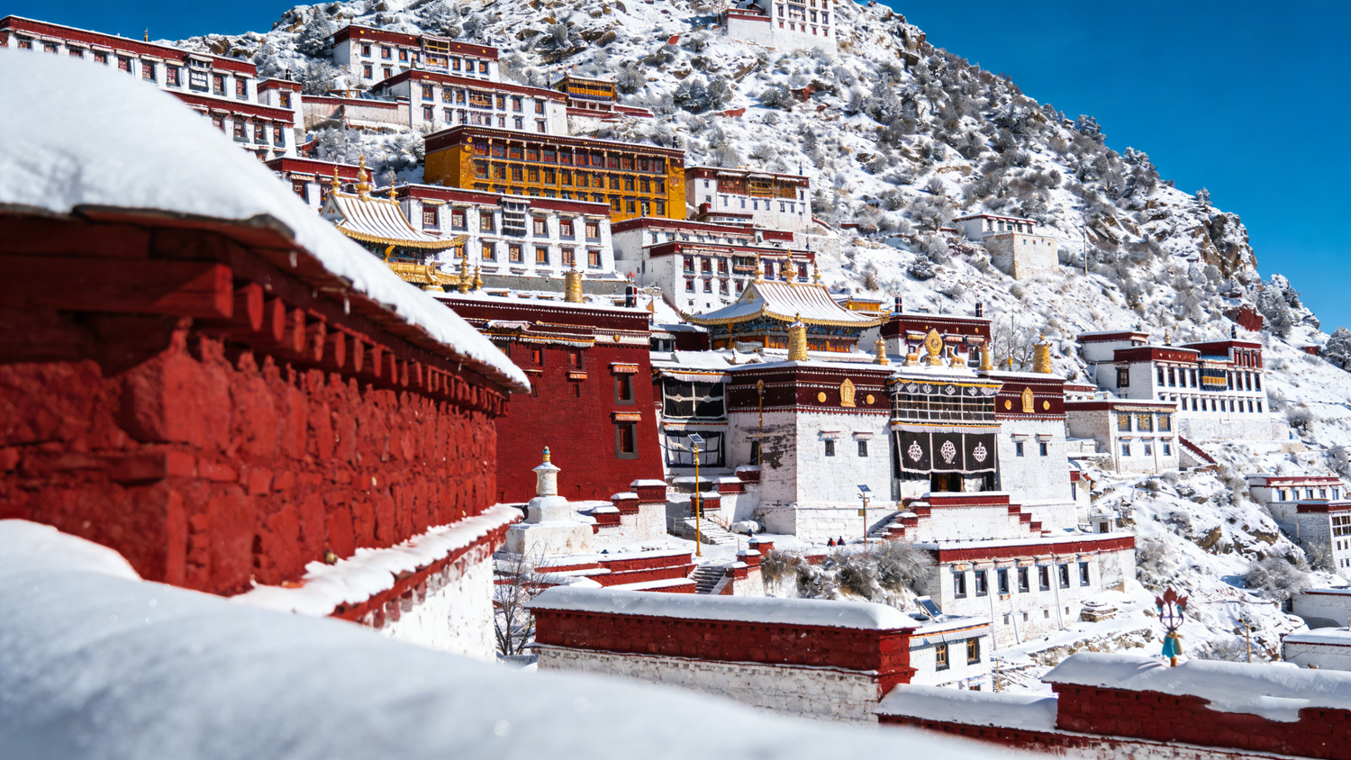 Sakya · The Striped School