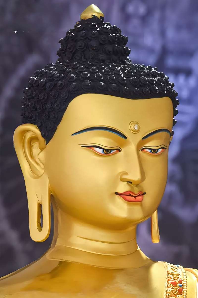 48cm Shakyamuni Buddha Statue Buddhist Statue - detail 7